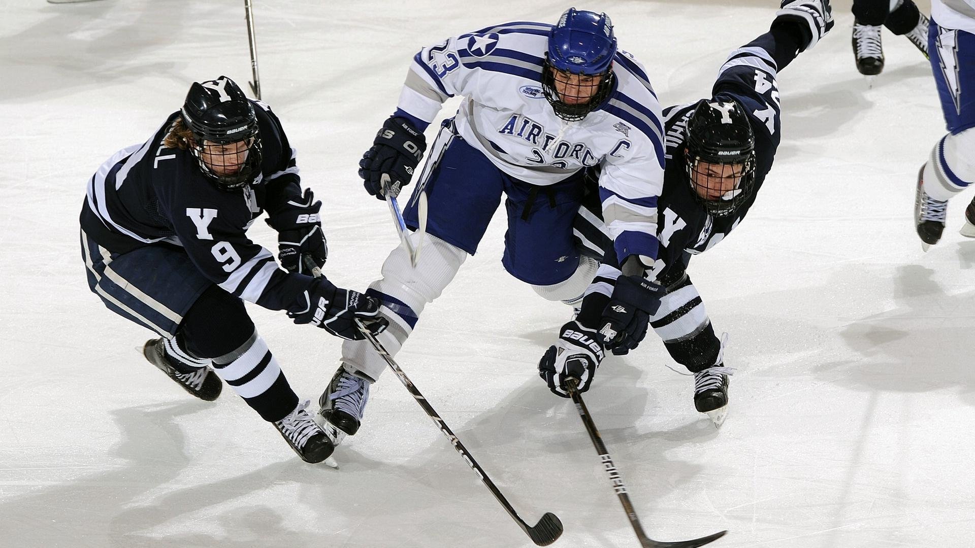 技术雷达图显示团队整体优化趋势，团队能力雷达图