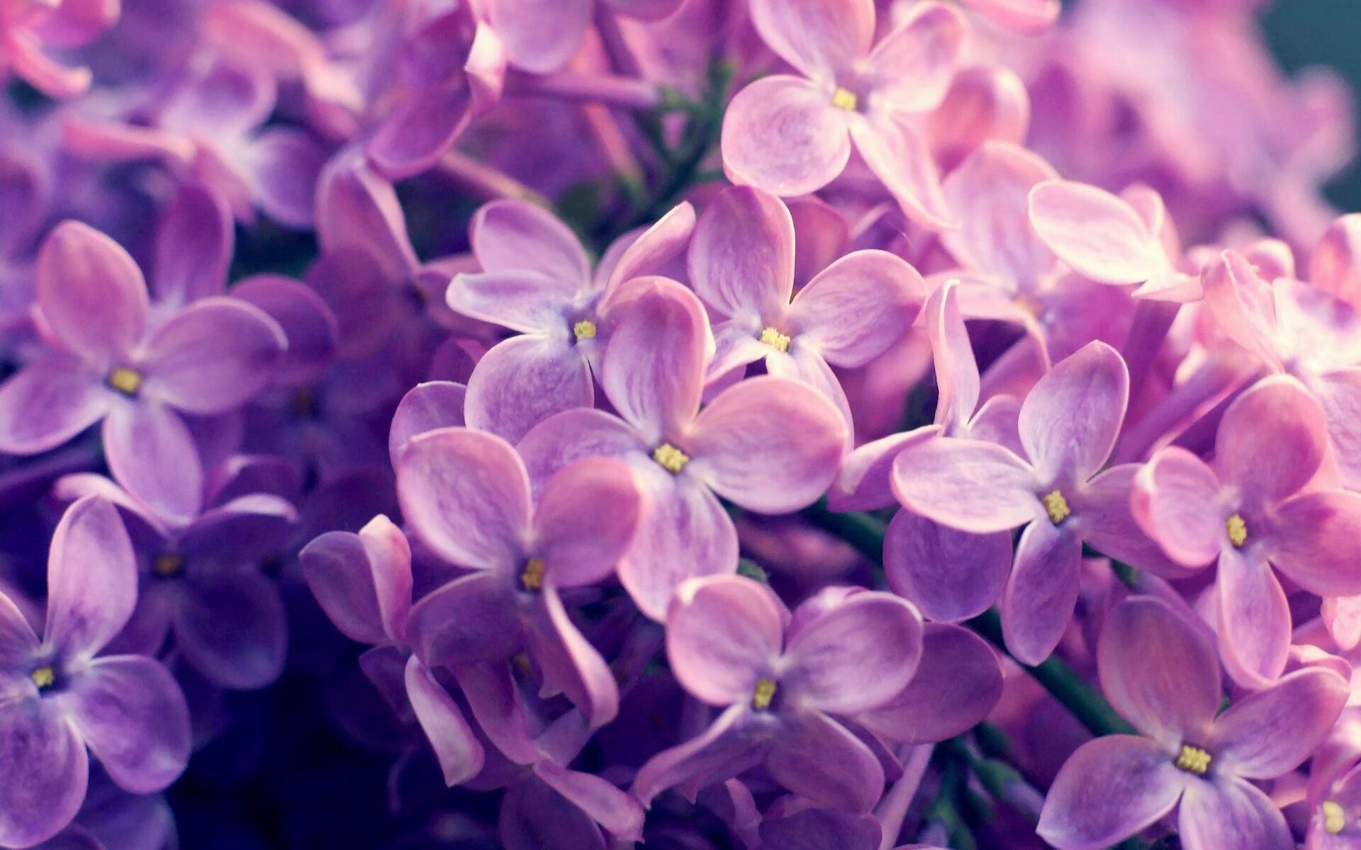 从数据看战术:大数据如何指导战术调整?,浅析大数据技术在作战指挥中的应用